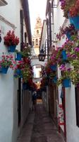 ... gibt es vor allem in der Blumengasse! &ndash; &copy; Maren Walter (Eberhardt TRAVEL)