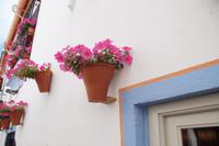 Typisch Córdoba &ndash; &copy; Andreas Böcker (Eberhardt TRAVEL)
