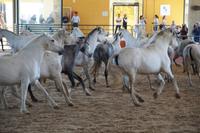 Los Cartujanos &ndash; &copy; Andreas Böcker (Eberhardt TRAVEL)