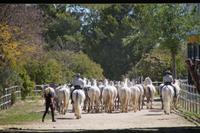 Los Cartujanos &ndash; &copy; Andreas Böcker (Eberhardt TRAVEL)
