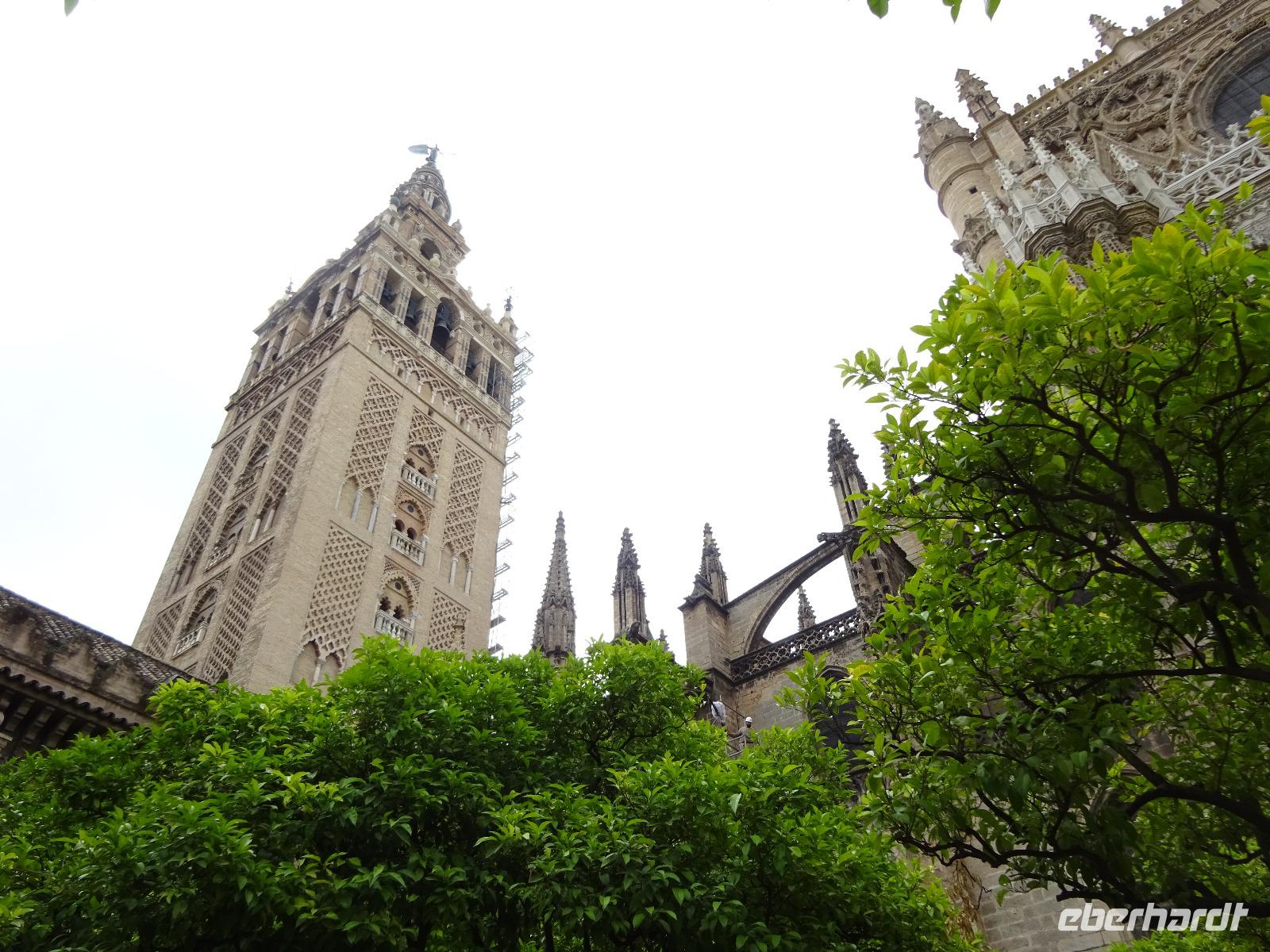 Sevilla (26) &ndash; &copy; Francisco Javier Burgos Gutierrez (Eberhardt TRAVEL)