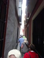 Sevilla (14) &ndash; &copy; Francisco Javier Burgos Gutierrez (Eberhardt TRAVEL)