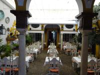Sevilla (16) &ndash; &copy; Francisco Javier Burgos Gutierrez (Eberhardt TRAVEL)