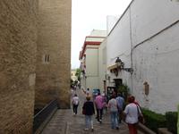 Sevilla (18) &ndash; &copy; Francisco Javier Burgos Gutierrez (Eberhardt TRAVEL)