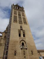 Sevilla (24) &ndash; &copy; Francisco Javier Burgos Gutierrez (Eberhardt TRAVEL)