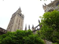 Sevilla (26) &ndash; &copy; Francisco Javier Burgos Gutierrez (Eberhardt TRAVEL)