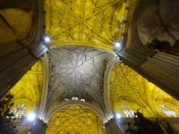 Sevilla (31) &ndash; &copy; Francisco Javier Burgos Gutierrez (Eberhardt TRAVEL)