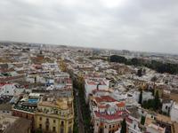 Sevilla (48) &ndash; &copy; Francisco Javier Burgos Gutierrez (Eberhardt TRAVEL)