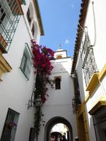 Cordoba (20) &ndash; &copy; Francisco Javier Burgos Gutierrez (Eberhardt TRAVEL)