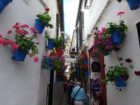 Cordoba (23) &ndash; &copy; Francisco Javier Burgos Gutierrez (Eberhardt TRAVEL)