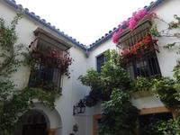 Cordoba (26) &ndash; &copy; Francisco Javier Burgos Gutierrez (Eberhardt TRAVEL)