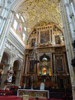 Cordoba (48) &ndash; &copy; Francisco Javier Burgos Gutierrez (Eberhardt TRAVEL)