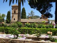 Granada (18) &ndash; &copy; Francisco Javier Burgos Gutierrez (Eberhardt TRAVEL)