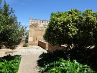 Granada (33) &ndash; &copy; Francisco Javier Burgos Gutierrez (Eberhardt TRAVEL)
