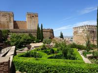 Granada (35) &ndash; &copy; Francisco Javier Burgos Gutierrez (Eberhardt TRAVEL)