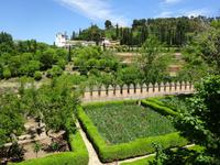 Granada (81) &ndash; &copy; Francisco Javier Burgos Gutierrez (Eberhardt TRAVEL)