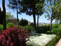 Granada (85) &ndash; &copy; Francisco Javier Burgos Gutierrez (Eberhardt TRAVEL)