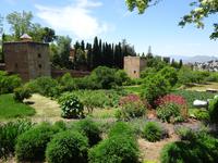 Granada (86) &ndash; &copy; Francisco Javier Burgos Gutierrez (Eberhardt TRAVEL)