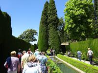 Granada (88) &ndash; &copy; Francisco Javier Burgos Gutierrez (Eberhardt TRAVEL)