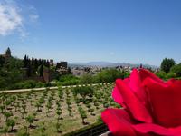 Granada (89) &ndash; &copy; Francisco Javier Burgos Gutierrez (Eberhardt TRAVEL)