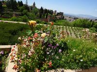 Granada (91) &ndash; &copy; Francisco Javier Burgos Gutierrez (Eberhardt TRAVEL)