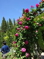 Granada (93) &ndash; &copy; Francisco Javier Burgos Gutierrez (Eberhardt TRAVEL)