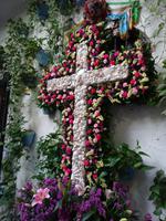 Malaga (13) &ndash; &copy; Francisco Javier Burgos Gutierrez (Eberhardt TRAVEL)