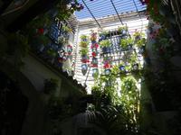 Malaga (14) &ndash; &copy; Francisco Javier Burgos Gutierrez (Eberhardt TRAVEL)