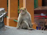 Gibraltar (21) &ndash; &copy; Francisco Javier Burgos Gutierrez (Eberhardt TRAVEL)