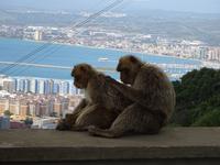 Gibraltar (26) &ndash; &copy; Francisco Javier Burgos Gutierrez (Eberhardt TRAVEL)