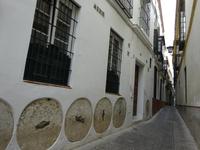 Sevilla (8) &ndash; &copy; Francisco Javier Burgos Gutierrez (Eberhardt TRAVEL)