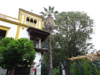 Sevilla (16) &ndash; &copy; Francisco Javier Burgos Gutierrez (Eberhardt TRAVEL)