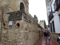 Sevilla (17) &ndash; &copy; Francisco Javier Burgos Gutierrez (Eberhardt TRAVEL)
