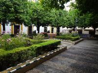 Sevilla (19) &ndash; &copy; Francisco Javier Burgos Gutierrez (Eberhardt TRAVEL)