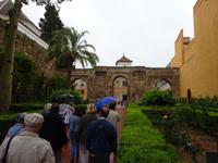 Sevilla (22) &ndash; &copy; Francisco Javier Burgos Gutierrez (Eberhardt TRAVEL)