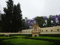 Sevilla (39) &ndash; &copy; Francisco Javier Burgos Gutierrez (Eberhardt TRAVEL)