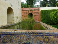 Sevilla (40) &ndash; &copy; Francisco Javier Burgos Gutierrez (Eberhardt TRAVEL)
