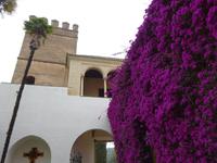 Sevilla (43) &ndash; &copy; Francisco Javier Burgos Gutierrez (Eberhardt TRAVEL)