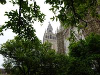 Sevilla (45) &ndash; &copy; Francisco Javier Burgos Gutierrez (Eberhardt TRAVEL)