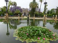 Sevilla (65) &ndash; &copy; Francisco Javier Burgos Gutierrez (Eberhardt TRAVEL)