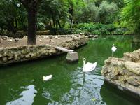 Sevilla (68) &ndash; &copy; Francisco Javier Burgos Gutierrez (Eberhardt TRAVEL)