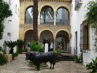 Cordoba (4) &ndash; &copy; Francisco Javier Burgos Gutierrez (Eberhardt TRAVEL)