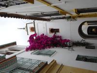 Cordoba (13) &ndash; &copy; Francisco Javier Burgos Gutierrez (Eberhardt TRAVEL)
