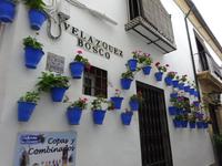 Cordoba (15) &ndash; &copy; Francisco Javier Burgos Gutierrez (Eberhardt TRAVEL)