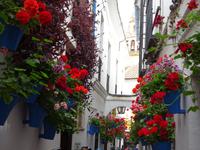 Cordoba (18) &ndash; &copy; Francisco Javier Burgos Gutierrez (Eberhardt TRAVEL)