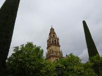 Cordoba (25) &ndash; &copy; Francisco Javier Burgos Gutierrez (Eberhardt TRAVEL)