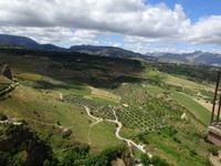 Ronda (16) &ndash; &copy; Francisco Javier Burgos Gutierrez (Eberhardt TRAVEL)
