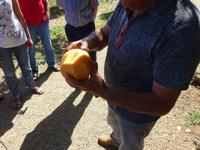 Juanito Orange (17) &ndash; &copy; Francisco Javier Burgos Gutierrez (Eberhardt TRAVEL)