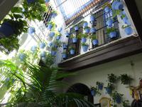 Malaga (23) &ndash; &copy; Francisco Javier Burgos Gutierrez (Eberhardt TRAVEL)