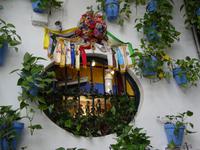 Malaga (25) &ndash; &copy; Francisco Javier Burgos Gutierrez (Eberhardt TRAVEL)
